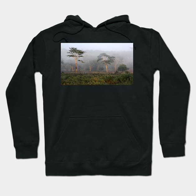 Foggy Morning, Lake Nakuru, Kenya Hoodie by Carole-Anne